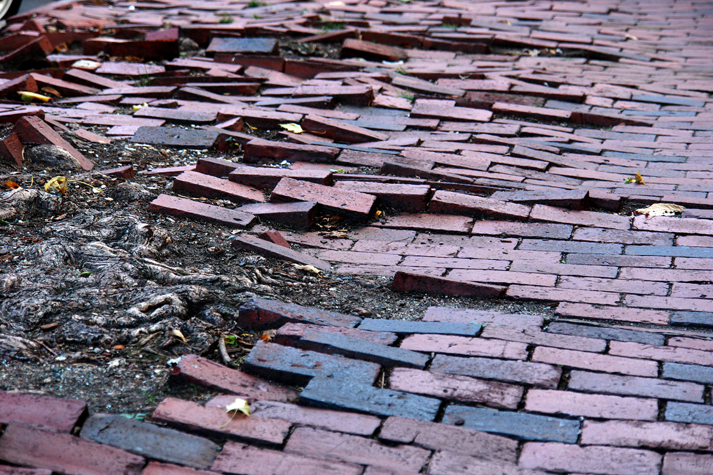 Walkway Hazard Attorneys.us